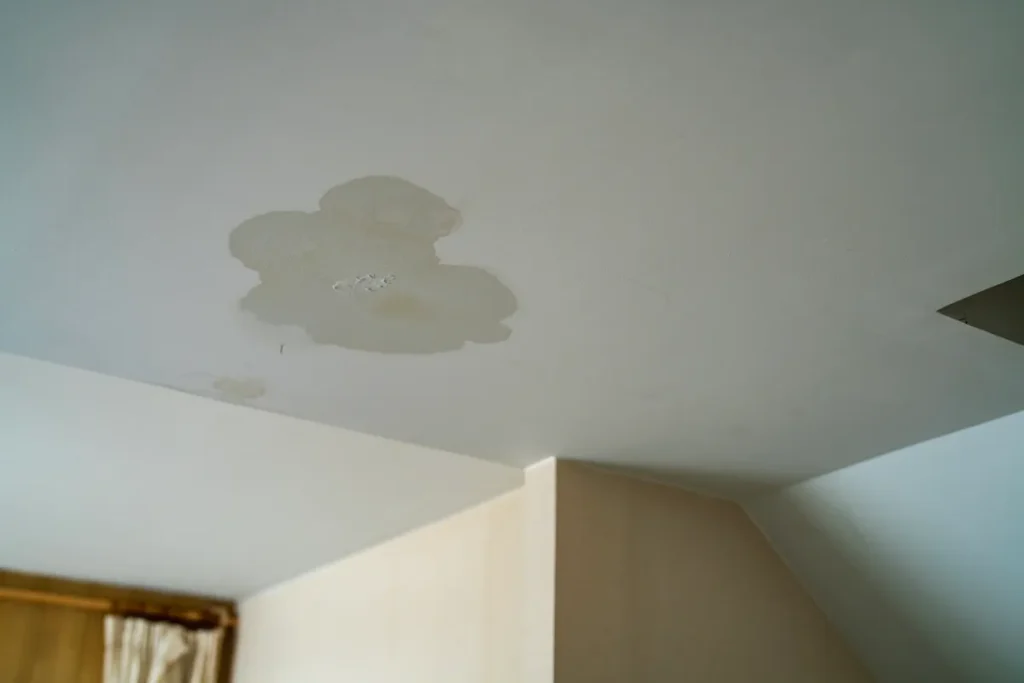 Brown water stain spreading on a residential ceiling from a roof leak