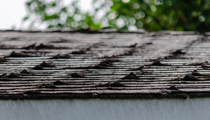 Severe curling and cupping on an old asphalt shingle roof requiring replacement